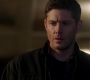 SPN_1833.jpg