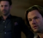 SPN_1835.jpg