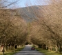 Filename=SPN_1930.jpg
Filesize=192KiB
Dimensions=1280x718
Date added=Sep 30, 2021 SPN_1930.jpg