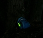 SPN_0055.jpg