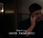 SPN_0116.jpg