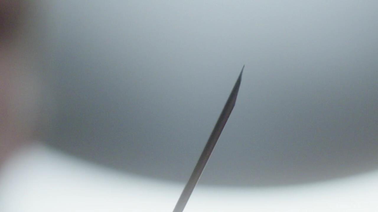 SPN_0356.jpg