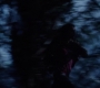 SPN_0002.jpg