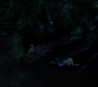 SPN_0023.jpg