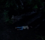 SPN_0034.jpg