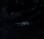 SPN_0035.jpg