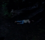 SPN_0036.jpg