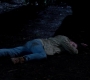 SPN_0047.jpg