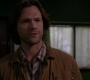 SPN_0092.jpg