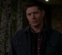 SPN_0101.jpg