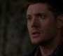 SPN_0106.jpg