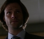 SPN_0159.jpg