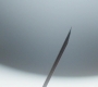 SPN_0356.jpg
