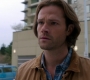 SPN_0726.jpg