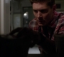 SPN_0744.jpg