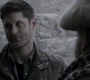 SPN_1211.jpg