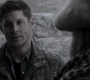SPN_1212.jpg