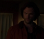 SPN_1273.jpg