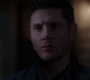 SPN_1311.jpg