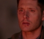 Filename=SPN_1980.jpg
Filesize=37KiB
Dimensions=1280x718
Date added=Sep 30, 2021 SPN_1980.jpg