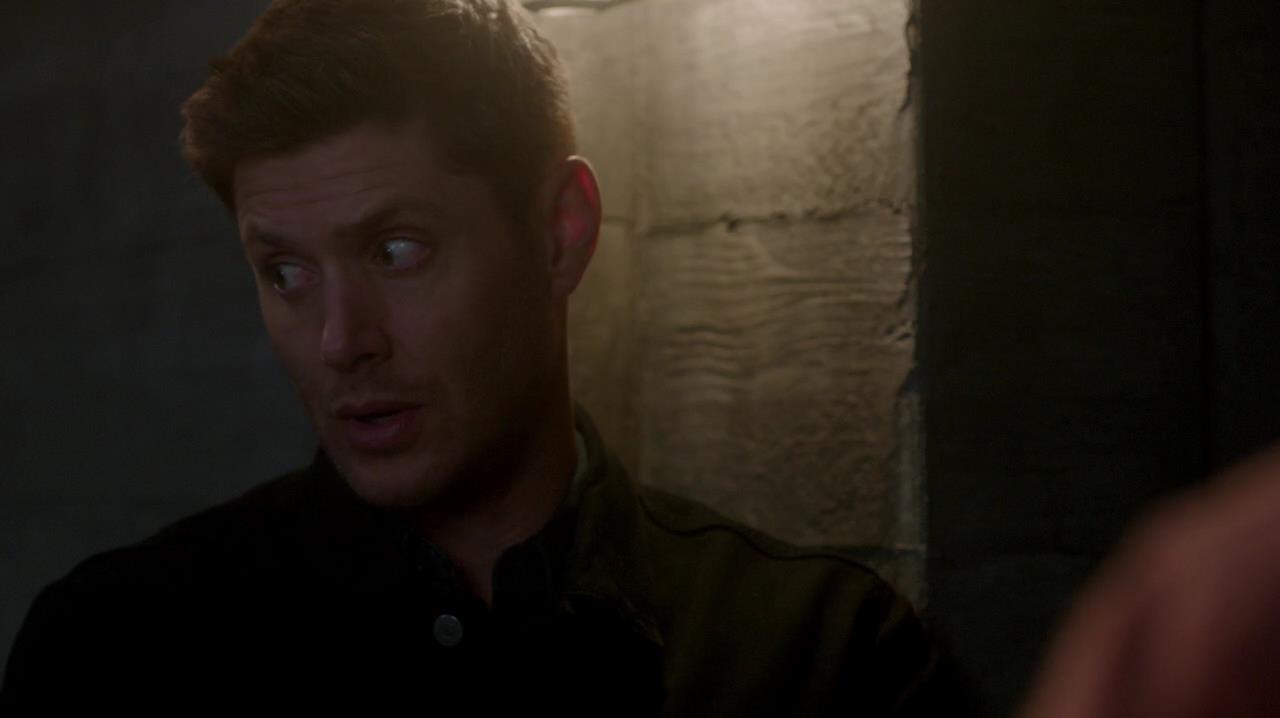 SPN_1379.jpg