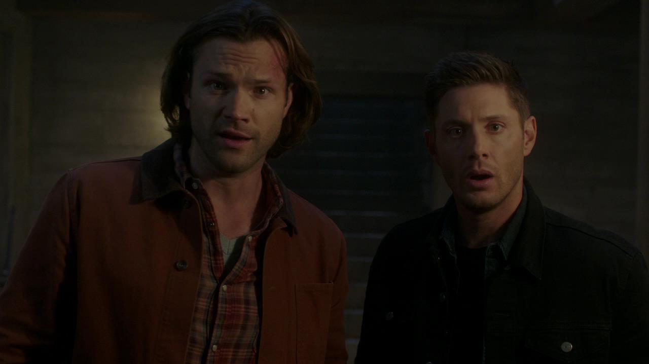 SPN_1442.jpg
