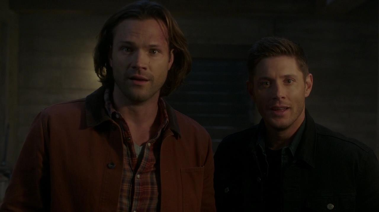 SPN_1446.jpg