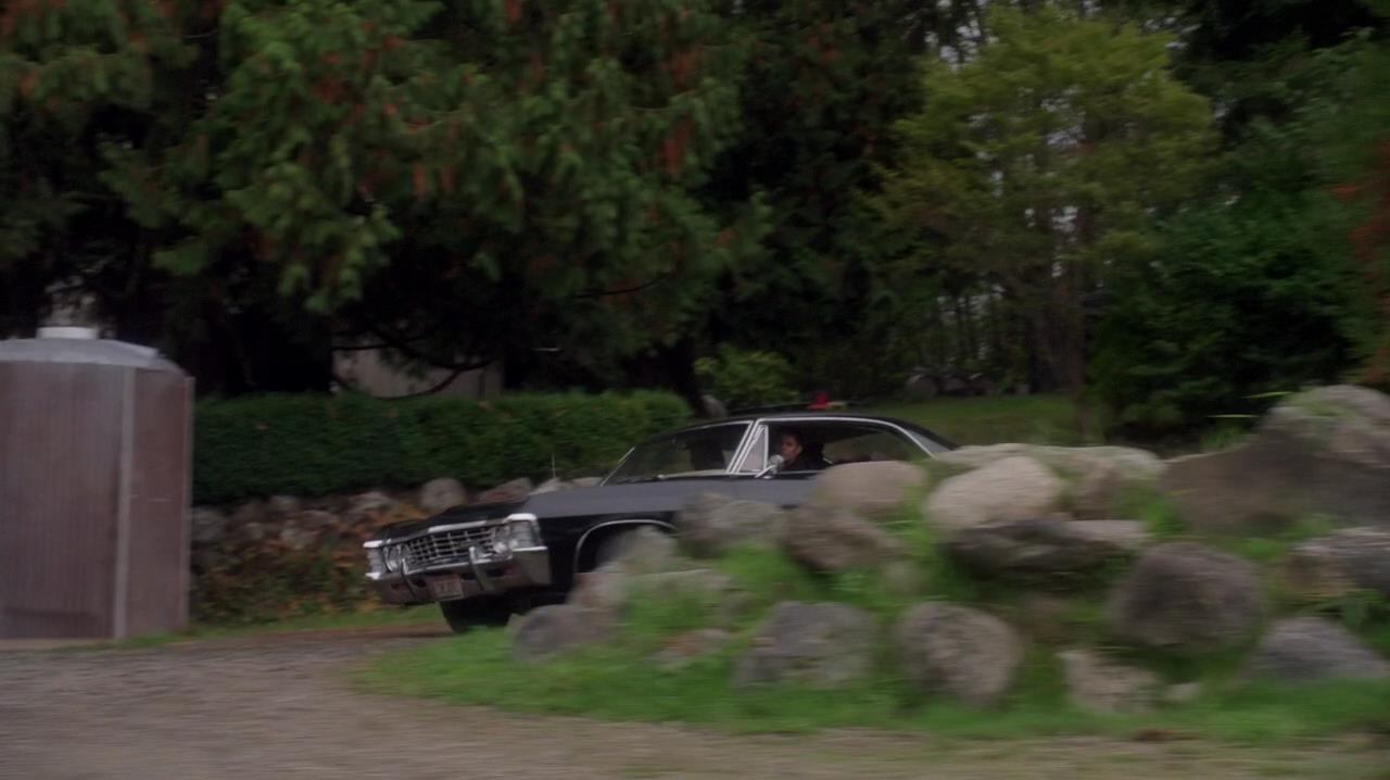 SPN_1556.jpg