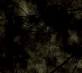 SPN_0444.jpg