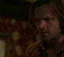 SPN_1121.jpg