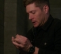 SPN_1198.jpg