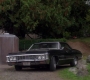 SPN_1557.jpg
