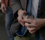SPN_1801.jpg