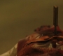 SPN_1484.jpg