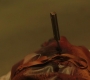 SPN_1485.jpg