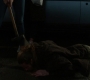 SPN_0149.jpg