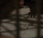 SPN_0236.jpg