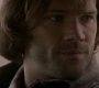 SPN_1113.jpg
