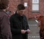 SPN_1133.jpg
