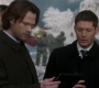 SPN_0554.jpg