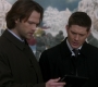 SPN_0555.jpg