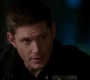 SPN_1008.jpg