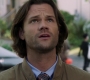 SPN_0561.jpg