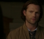 SPN_0965.jpg