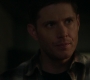 SPN_0015.jpg