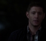 SPN_0304.jpg