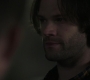 Filename=SPN_1798.jpg
Filesize=32KiB
Dimensions=1280x718
Date added=Feb 02, 2019 SPN_1798.jpg