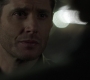 Filename=SPN_1802.jpg
Filesize=39KiB
Dimensions=1280x718
Date added=Feb 02, 2019 SPN_1802.jpg