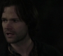 Filename=SPN_1831.jpg
Filesize=27KiB
Dimensions=1280x718
Date added=Feb 02, 2019 SPN_1831.jpg