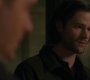 Filename=SPN_1845.jpg
Filesize=34KiB
Dimensions=1280x718
Date added=Mar 18, 2019 SPN_1845.jpg